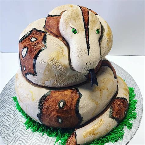 We would like to show you a description here but the site won't allow us. Snake CAKE | Snake cakes, Custom cakes, Cake