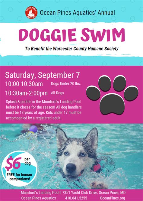 Ocean Pines Aquatics Annual Doggie Swim Worcester County Humane