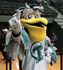 Riptide, Tulane Green Wave mascot. | College Mascots: American (AAC ...