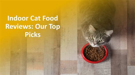 Best Cat Food For Indoor Cats Reviews And Nutrition Guide