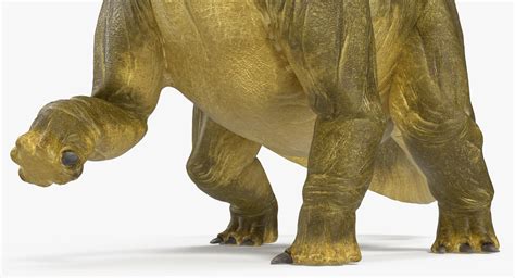 Dinosaurio prehistoria, hace 65 millones de años, al final del periodo cretáceo. brontosaurio-dinosaurio-cuellilargo-2 - 🦕Todo sobre el ...