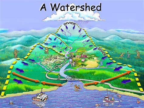 What Is A Watershed Kidskud