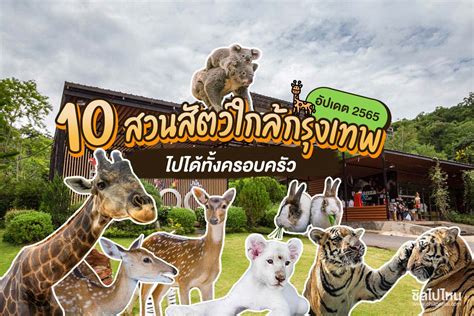 10 สวนสัตว์ใกล้กรุงเทพ ไปได้ทั้งครอบครัว อัปเดต 2565