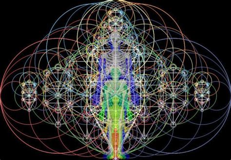 Human Energy Field Plan Divino Secret Energy Quantum Consciousness