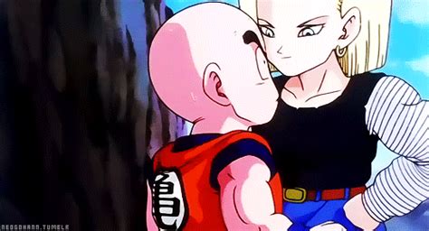 Krillin And Android 18 Dragon Ball Z Photo 35798625 Fanpop