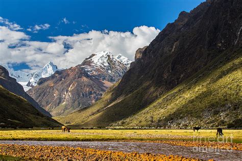 Mountain Landscape In The Andes Peru Photograph By Calin Tatu