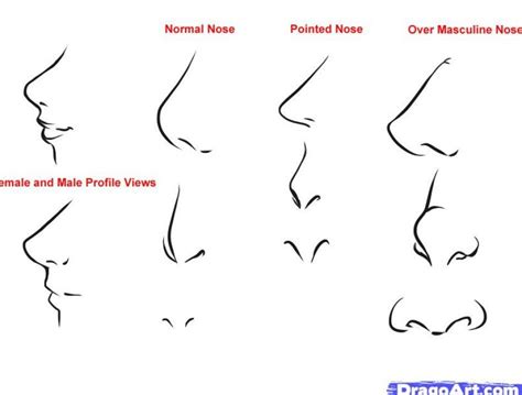 How To Draw Anime Noses Female Manga Nose Male Vs Female Manga Nose Images And Photos Finder