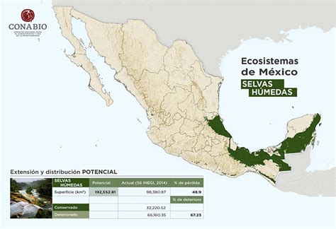 Selvas húmedas Biodiversidad Mexicana