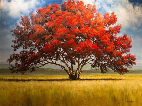Art Single Red Tree In A Field Acrylic Tim Gagnon Red