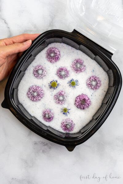 Create lasting memories and preserve those important times in your life as you capture nature's transient beauty of flowers with activa silica gel flower drying compound. How to Use Silica Gel for Drying Flowers: Complete Guide