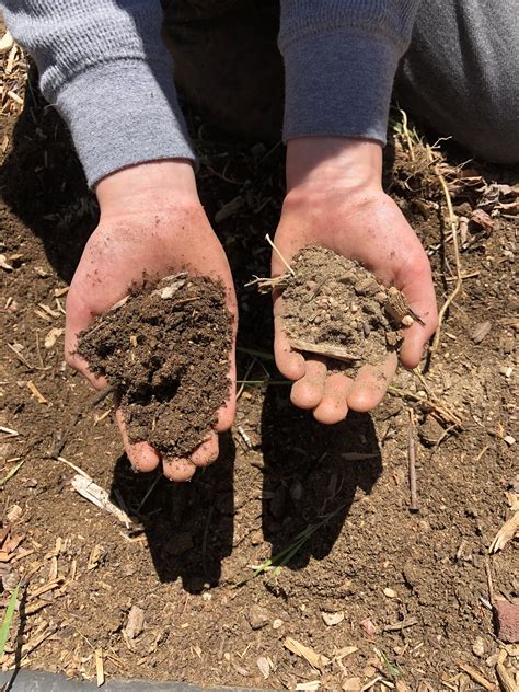 Proof Deep Mulch Method Works Before And After Deep Wood Mulch 3 Years