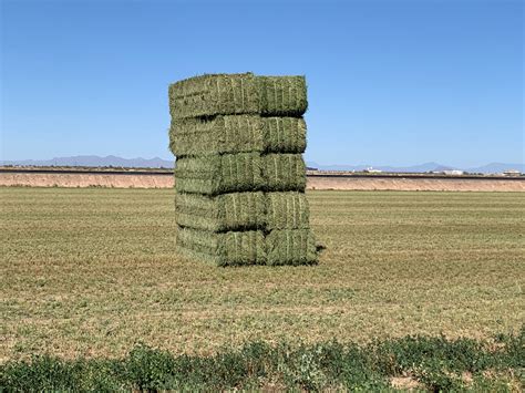 Premium Alfalfa Hay For Sale 3x4x8 — Conway Feed And Supply
