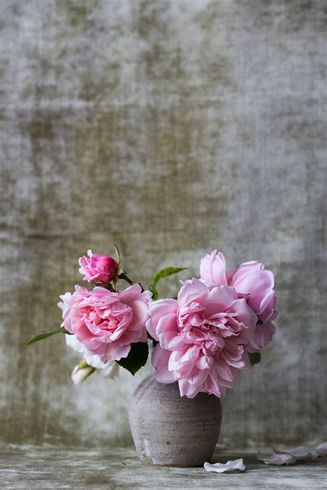 Images Gratuites Fleur Feuille Pétale Vase Printemps Rose Flore