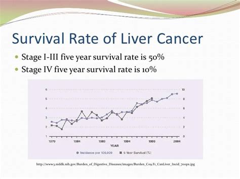 10 Stage 4 Cancer Survival Rate References Lines Tip