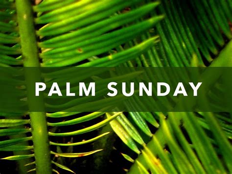 It is a holy day for christians which is celebrated with great enthusiasm. Palm Sunday Wallpapers - Wallpaper Cave