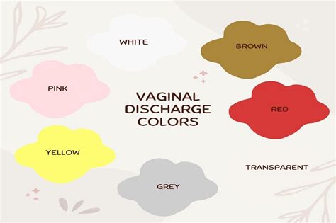 A Guide To Vaginal Discharge Colors What Do They Mean