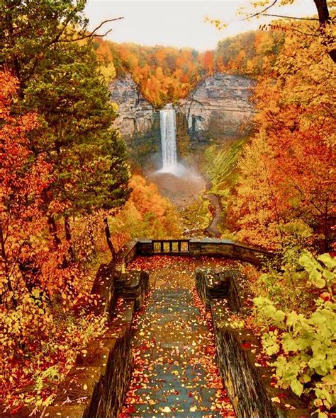 New High Resolution Lock Screen Wallpapers Autumn Scenery Beautiful