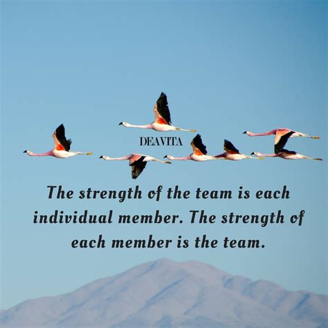 Positive Teamwork Quotes