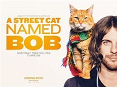 Sección visual de Un gato callejero llamado Bob - FilmAffinity