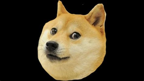 Doge 1080x1080 1080 X 1080 Doge 1080x1080 Meme Dog Drone Fest