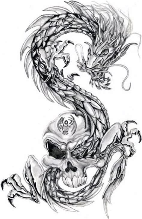 Skull And Dragon Drawings