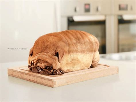 Mind Blowing Ads That Tell A Great Visual Story