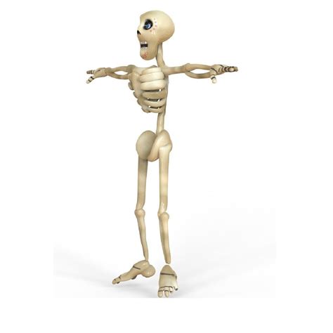3d Model Skeleton Toon Vr Ar Low Poly Rigged Animated Cgtrader