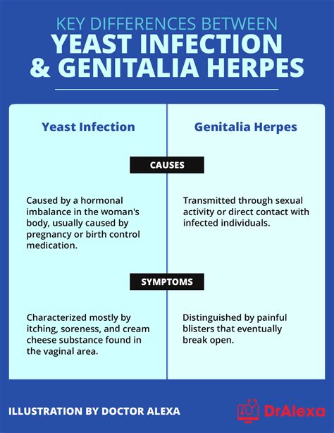 Yeast Infection Vs Herpes How Do Yeast Infection And Herpes Compare