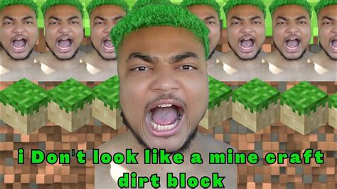I Dont Look Like A Dirt Block🗿👽👽🥲 Youtube