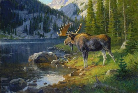 Pin On Art Wildlife Deer