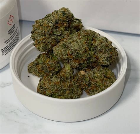 Trulieve X Connected Truflower Review Nightshade Hybrid Florida