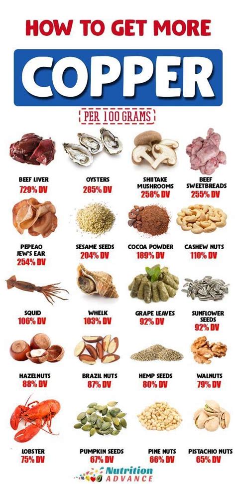 30 Foods High In Copper Food Nutrition Facts Nutrition Proper Nutrition