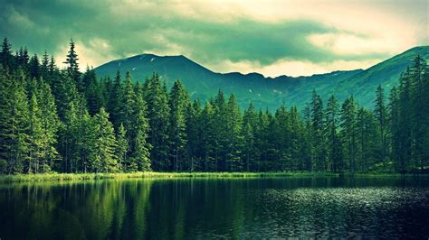 1600x1200 Resolution Forest Scenery Forest Lake Mountains Nature