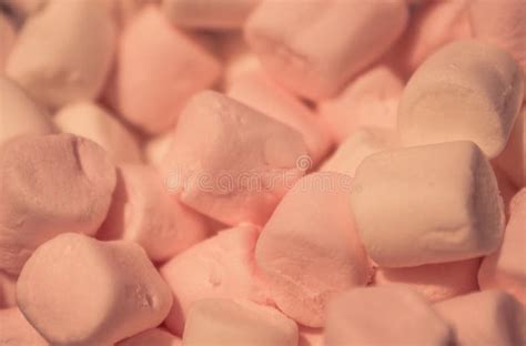 Soft Pink Marshmallow Stock Image Image Of Benign 106017373