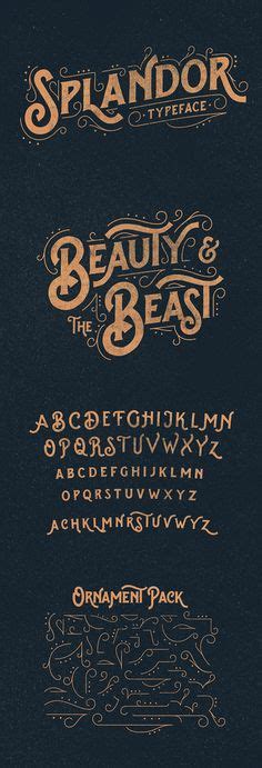 Beautiful Nice Cursive Lettering Alphabet Paijo Network Lettering