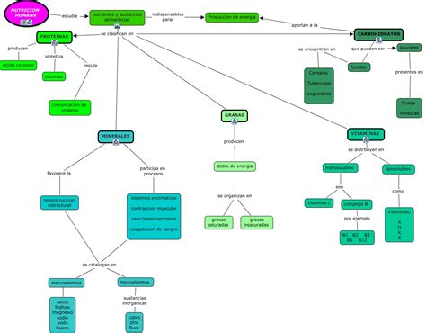 Mapa Conceptual Que Es La Nutricion