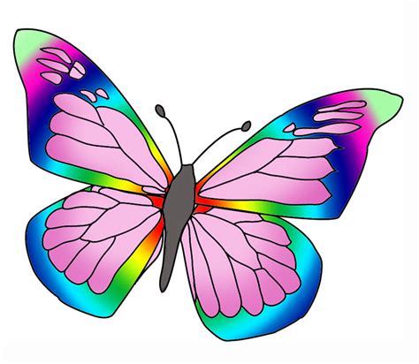 Birds And Butterflies Clipart Colorful Butterfly Png Clip Art Image My Xxx Hot Girl