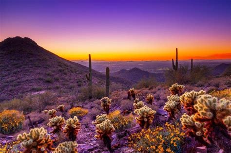 Top 10 Best Places To Live In Arizona