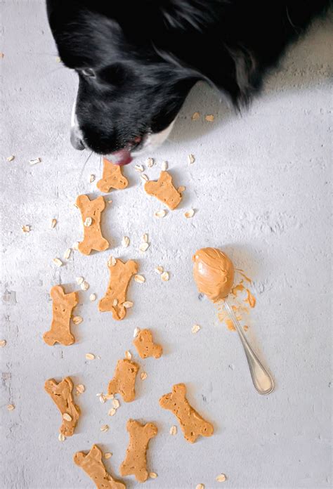 3 Ingredient Peanut Butter Oat Dog Treats Recipe Peanut Butter Oats