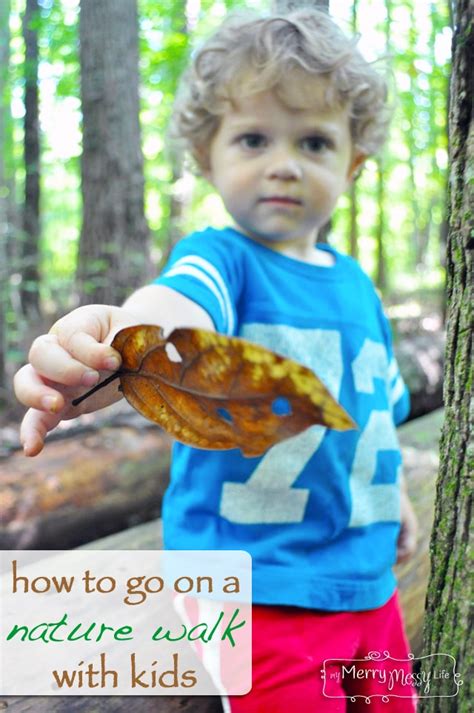 How To Go On A Nature Walk Preschool Learning Activity My Merry