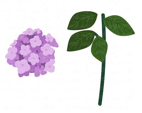 Hydrangea SVG for Cricut Png Eps Clipart - Etsy New Zealand