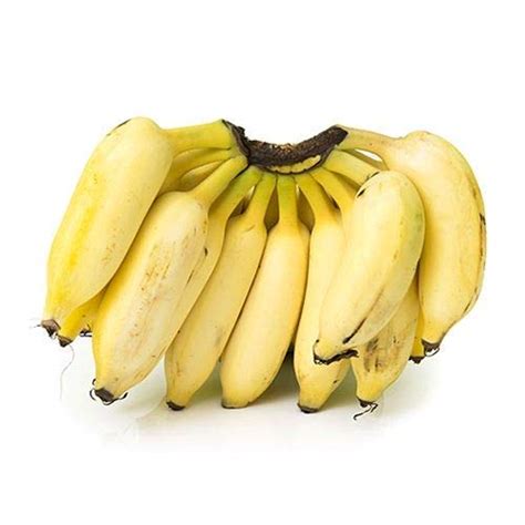 Organic Fresh Yelakki Banana Style Natural Packaging Type Gunny