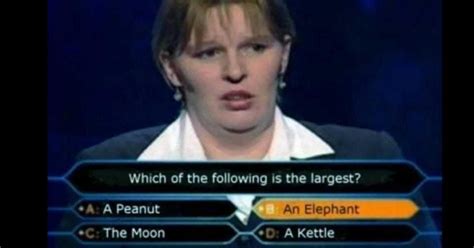 Who Wants To Be A Millionaire Fails Funny Answers