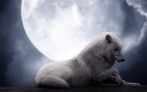38 Wolf Full Moon Wallpaper