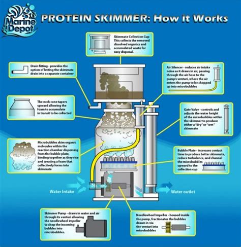 Protein Skimmer Setup Diagram Vlr Eng Br