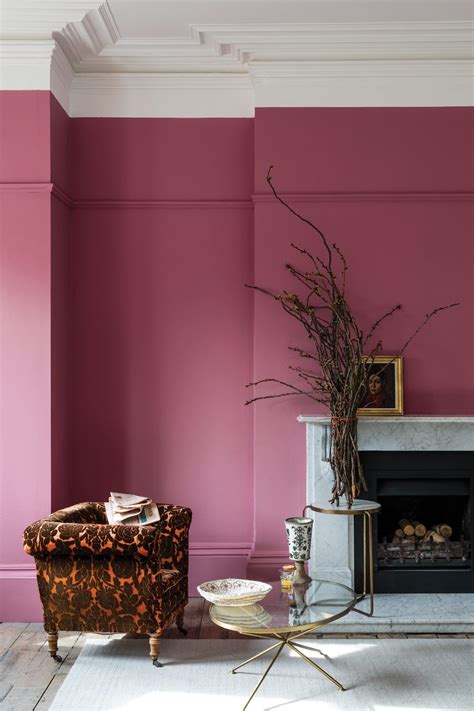 27 Hot Pink Wall Paint CameranNeill