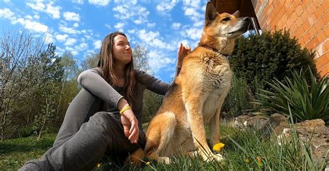 A Woman And Her Dog Sitting On A Grass · Free Stock Video