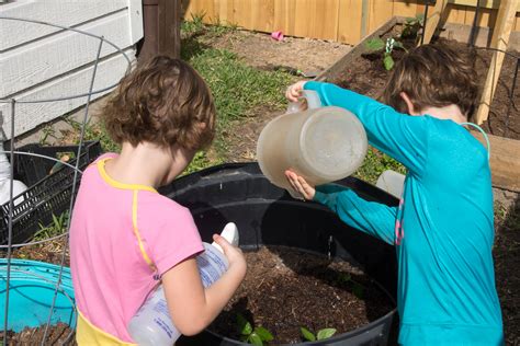 Easy Container Gardening With Kids 8 All My Good Things