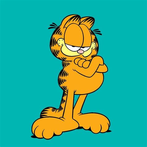 8 Razones Por Las Que Garfield Es Nuestro Gato Favorito