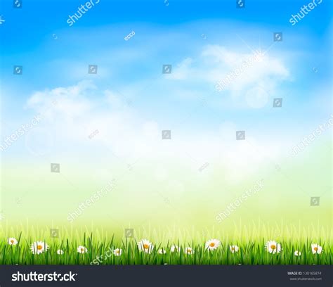 Nature Background Green Grass Flowers Blue Stock Vector 130165874